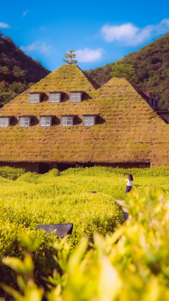 omihachiman la cantina