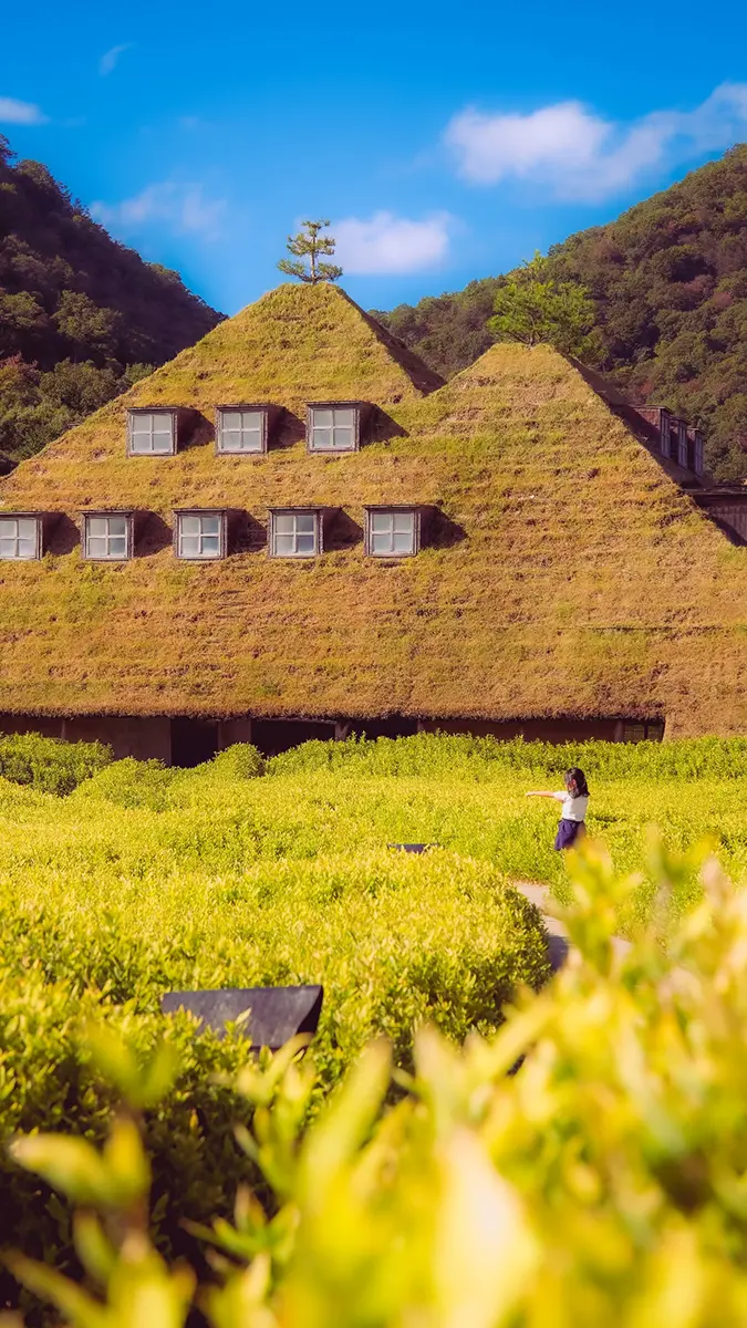 omihachiman la cantina